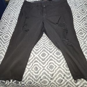Torrid Jeans
